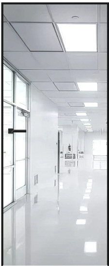Межкомнатная дверь Brandoors REFLECT R 01 42 мм